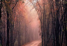 世界第一!他才12岁,来自深圳深圳特区报.