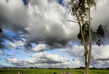 [国际足球]澳大利亚U20队继续领跑A组.