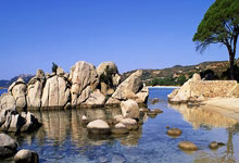 南宫28:国足错失2王牌?曝前恒大+泰山外援险被归化 薪资6500万无队接手.